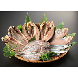 一夜干魚詰合せ