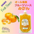 オール福島フルーツソース　みかん