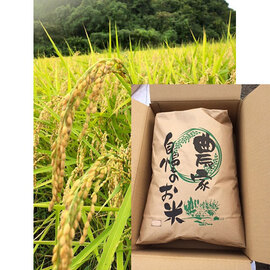 柏崎産宮川営農の米（新之助）精米５ｋｇ袋入り／玄米５ｋｇ袋入り