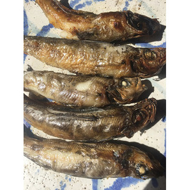 常磐産めひかり一夜干し　１５尾