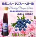 飲むフルーツブルーベリー酢５本セット
