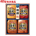 【早割】丸大食品　煌彩ギフト（１）　ＭＶ−４０４Ｔ