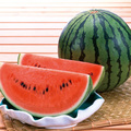 大玉西瓜（あきた夏丸）