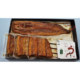 大井川うなぎＡ