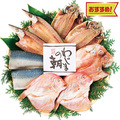 わじまの朝干物セット（５種９枚）　２５−１２３２−０２７