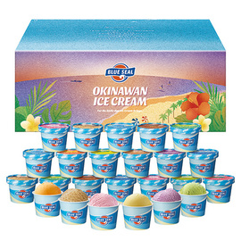 ブルーシールギフト　２４