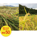 宮川営農組合の米　コシヒカリ（精米・玄米）（１）精米　５ｋｇ　（２）玄米　５ｋｇ