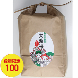 大波産こしひかり