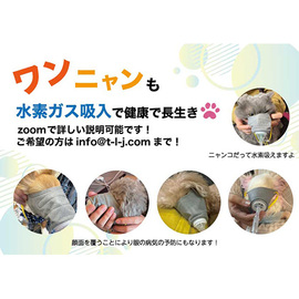 ペット用水素ガス吸入マスク　ＤＨＢ−ＰＥＴＭＡＳＫ