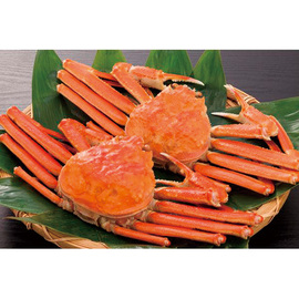 【ネット割】ずわい２杯　Ｋ９１００２０