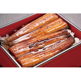 【ネット割】浜松・浜名湖うなぎ蒲焼２尾セット（１１０ｇ×２）　Ｕ９１０００２