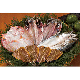 九州の一夜干し　Ｒ−１