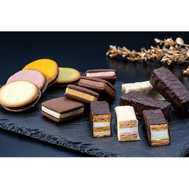 銀座ショコラセレクション　ＰＧＳ−４４７