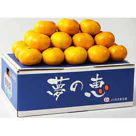 夢未来みかん　夢の恵（１）　ＩＷ−６