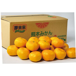 夢未来みかん　ＩＷ−８