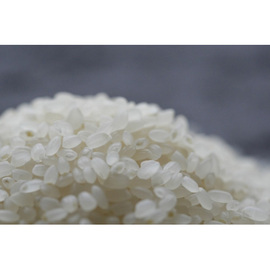 大日　新潟県産コシヒカリ白米１０ｋｇ