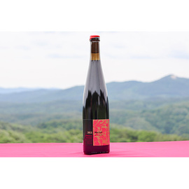 ヴィラージュメルロー２０２３