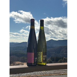 リベルブランピノグリ２０２２＆ピノノワール２０２２　６本セット