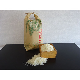 令和７年産　福島県産コシヒカリ（精米）５ｋｇ