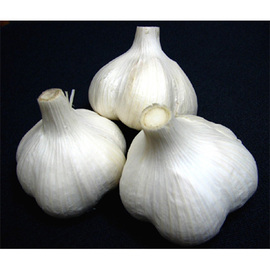 田子町産にんにく