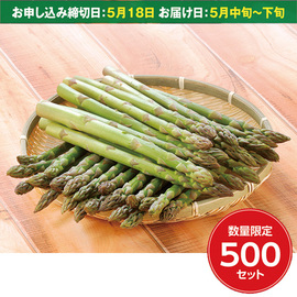 【福島特産品】福島県産アスパラガス