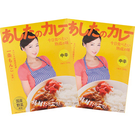 一条もんこ監修　あしたのカレー　中辛　２個