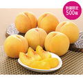 【福島特産品】黄金桃１．８Ｋｇ（５〜８玉）