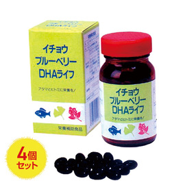 【ネット割】イチョウ　ブルーベリー　ＤＨＡライフ（栄養補助食品）
