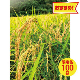 宮川営農組合のお米　コシヒカリ　精米５ｋｇ