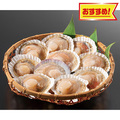 片貝ほたて
