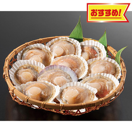 片貝ほたて