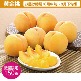 【福島特産品】黄金桃１．８Ｋｇ（５〜８玉）
