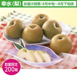【福島特産品】幸水（梨）３Ｋｇ（６〜１１玉）